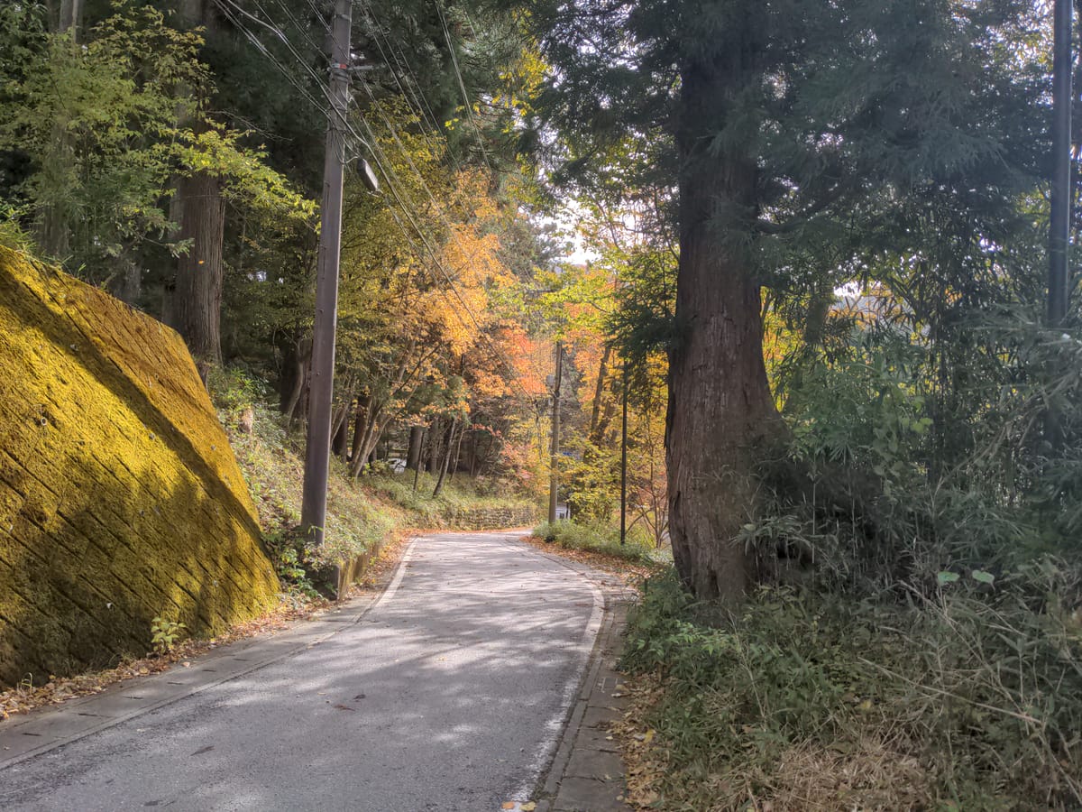 Leaving Nikko, and hello (again) Tokyo! - Day 9