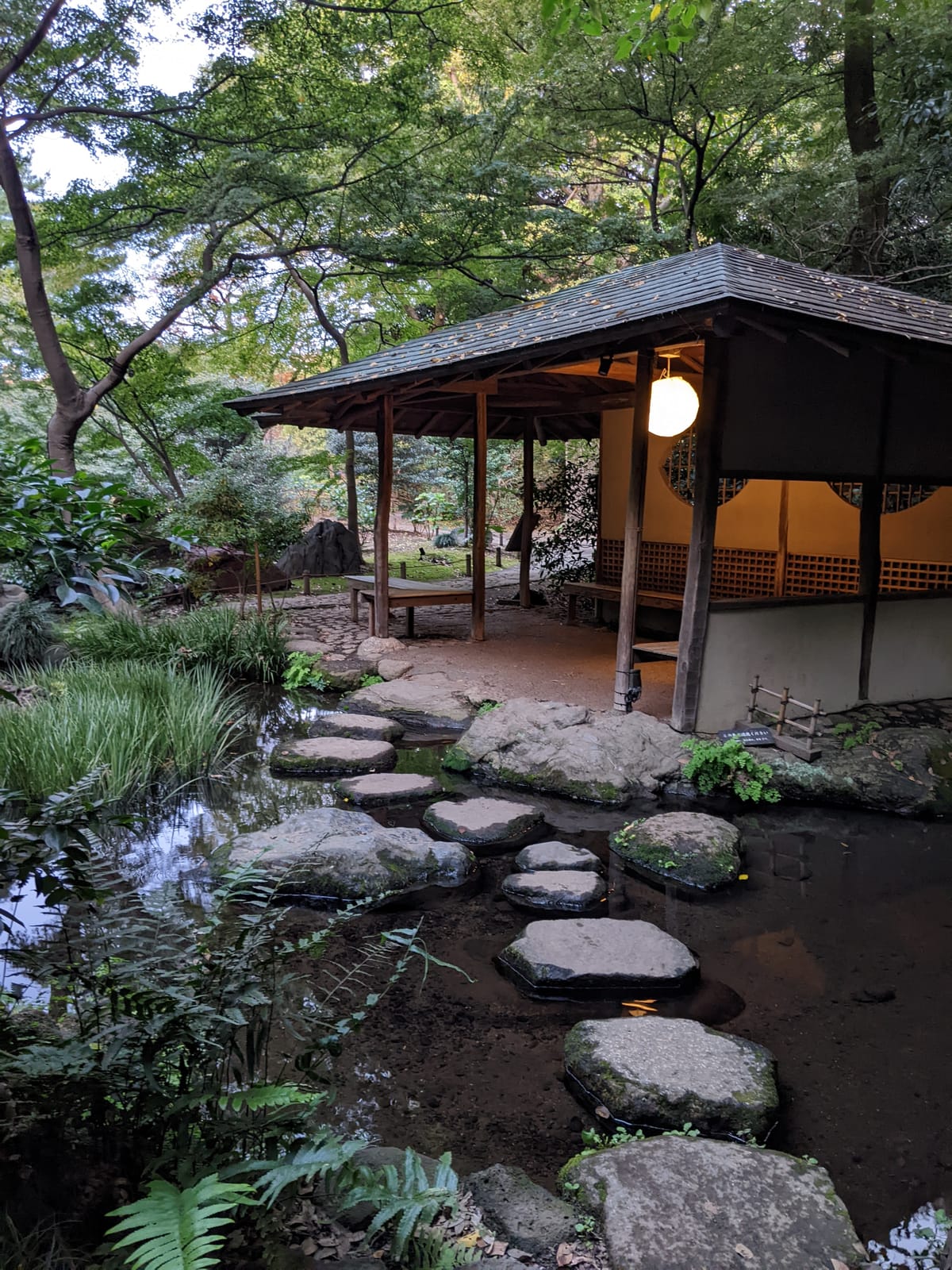 Sunshine and gardens- Day 1