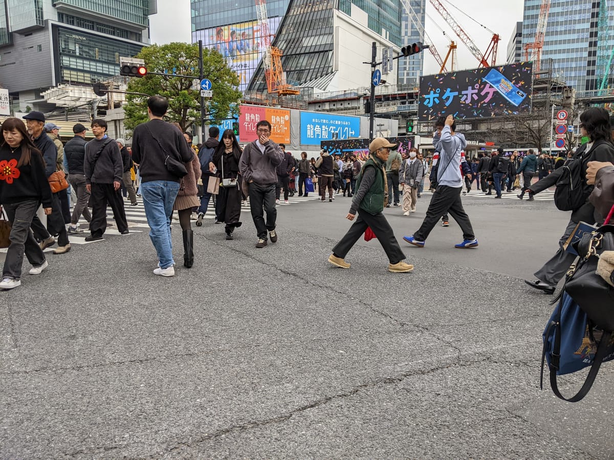 Shibuya Crossing - Day 4