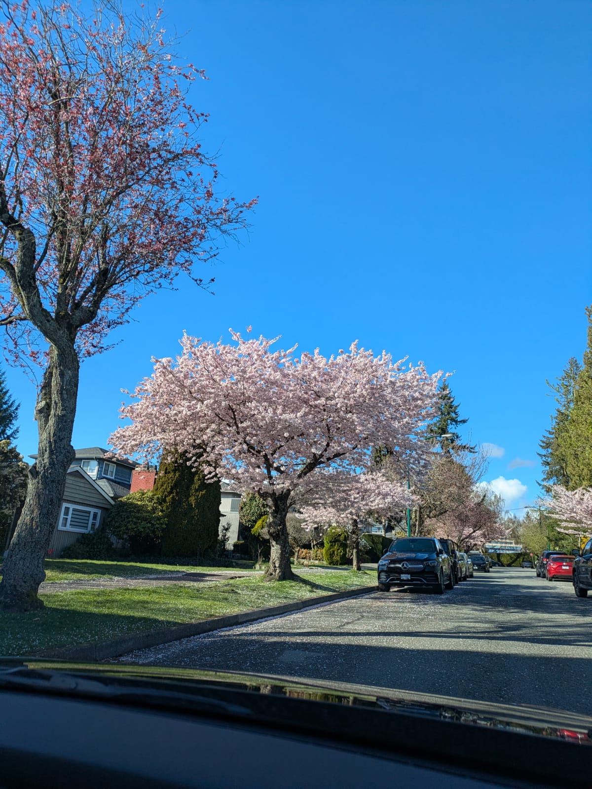 We made it to Vancouver - Day 1