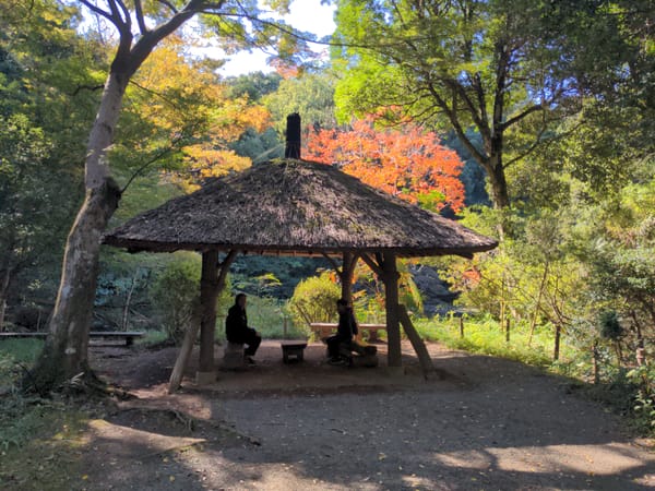 Shrines, Billboards, and Unfortunate events- Day 2