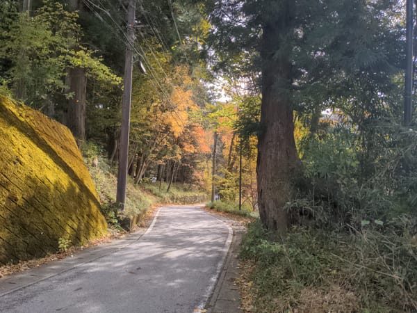 Leaving Nikko, and hello (again) Tokyo! - Day 9