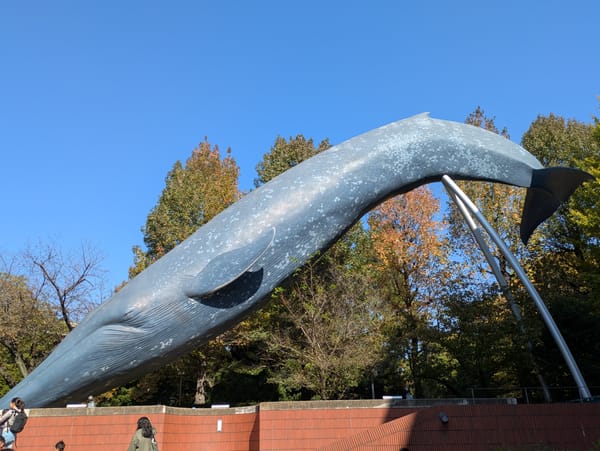 A Shopping Spree - Day 6