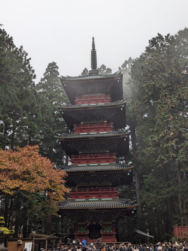 What's shaking in Nikko - Day 8